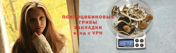 PSILOCYBIN Киров