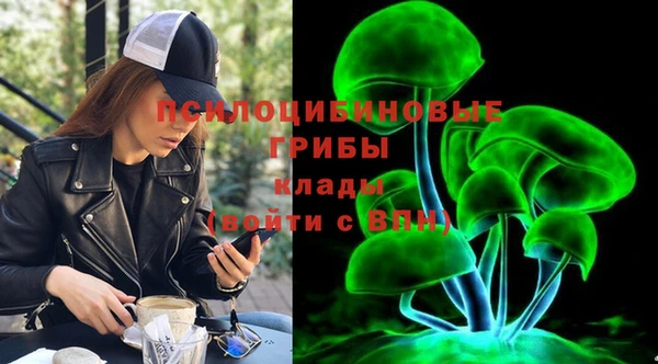 PSILOCYBIN Киров