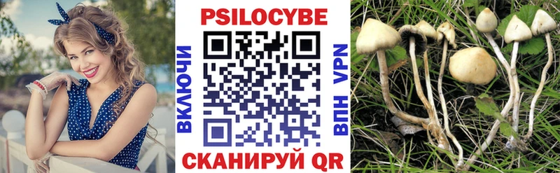 Псилоцибиновые грибы мицелий  Купить где  Пущино