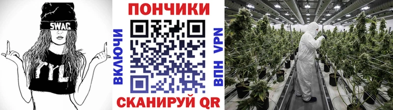 Купить закладки  Пущино  Канабис White Widow 
